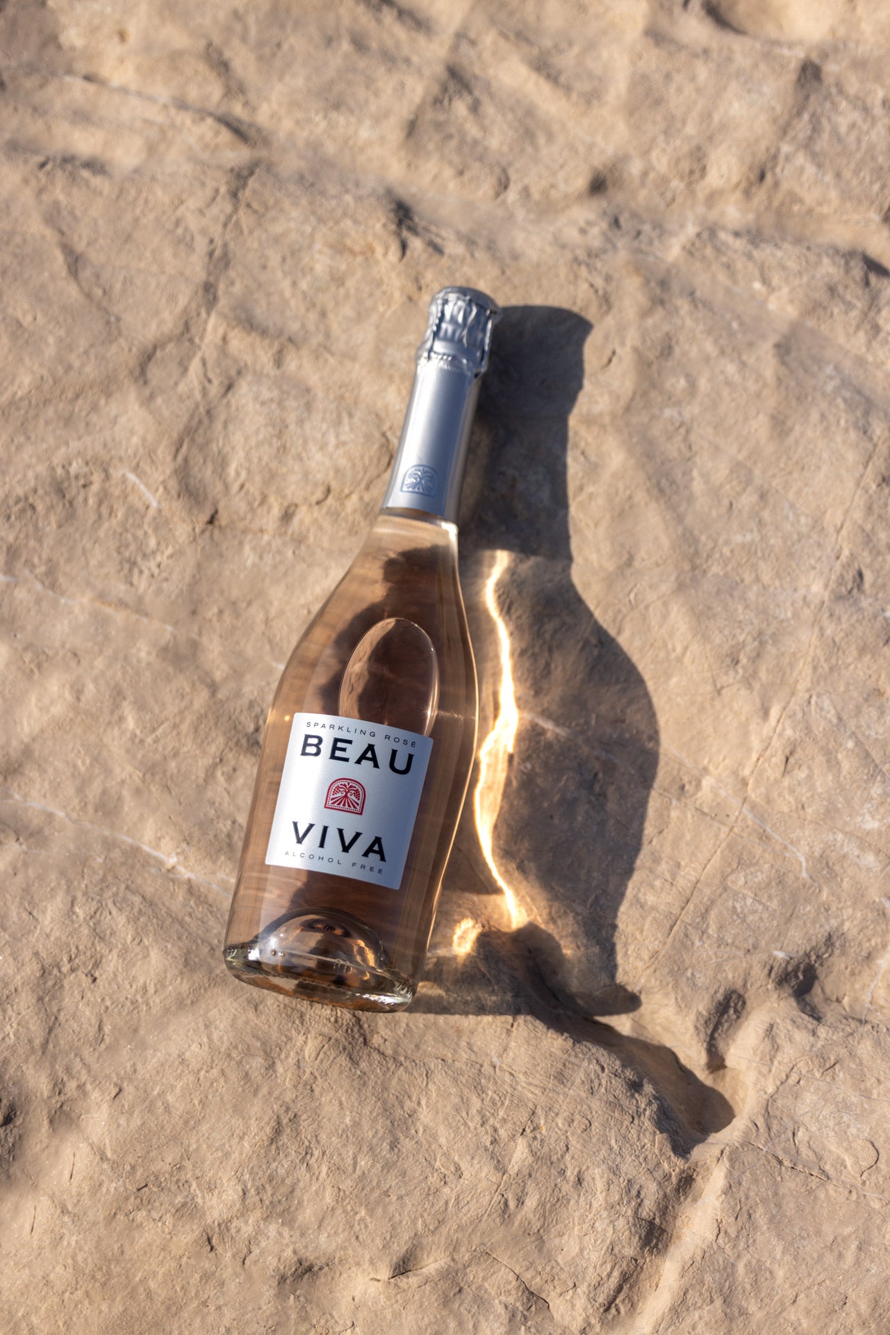Rose wine bottle on the stone
