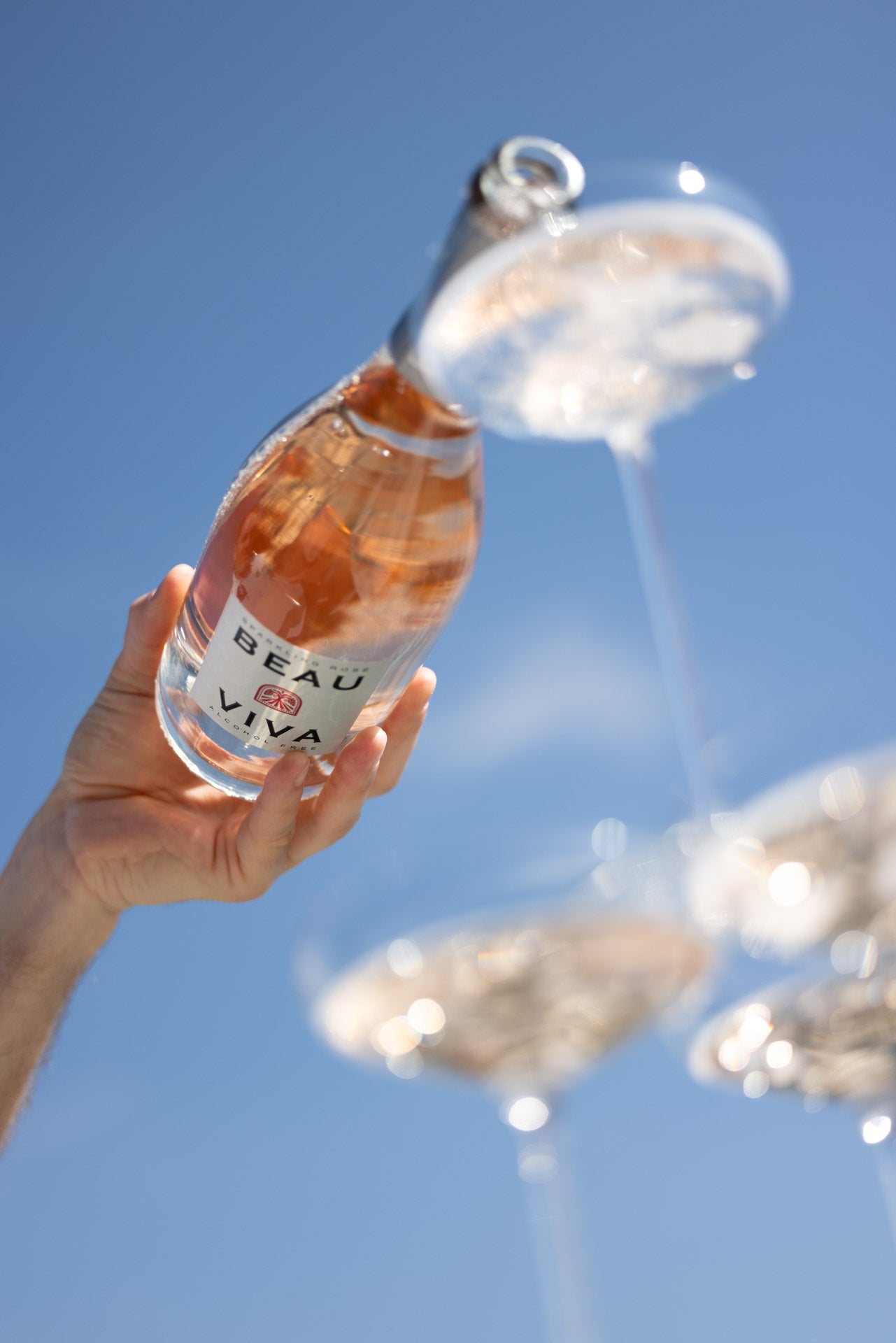 Holding Beau Viva rosé bottle against sky with cheers